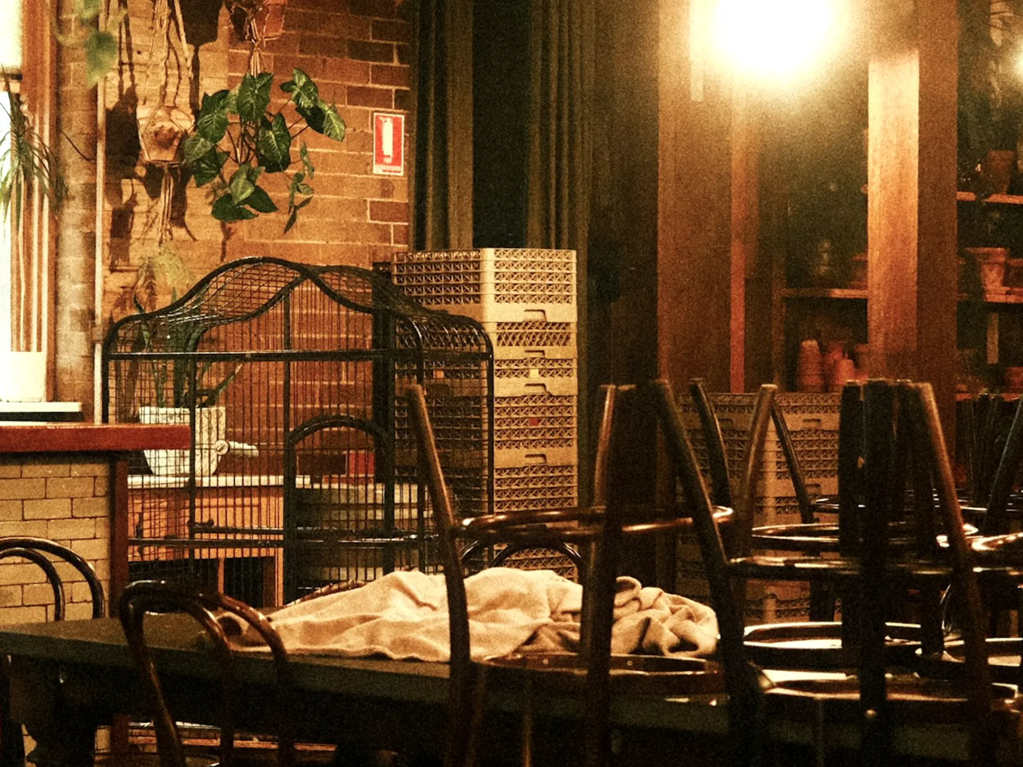 La sala della Trattoria da Elsa